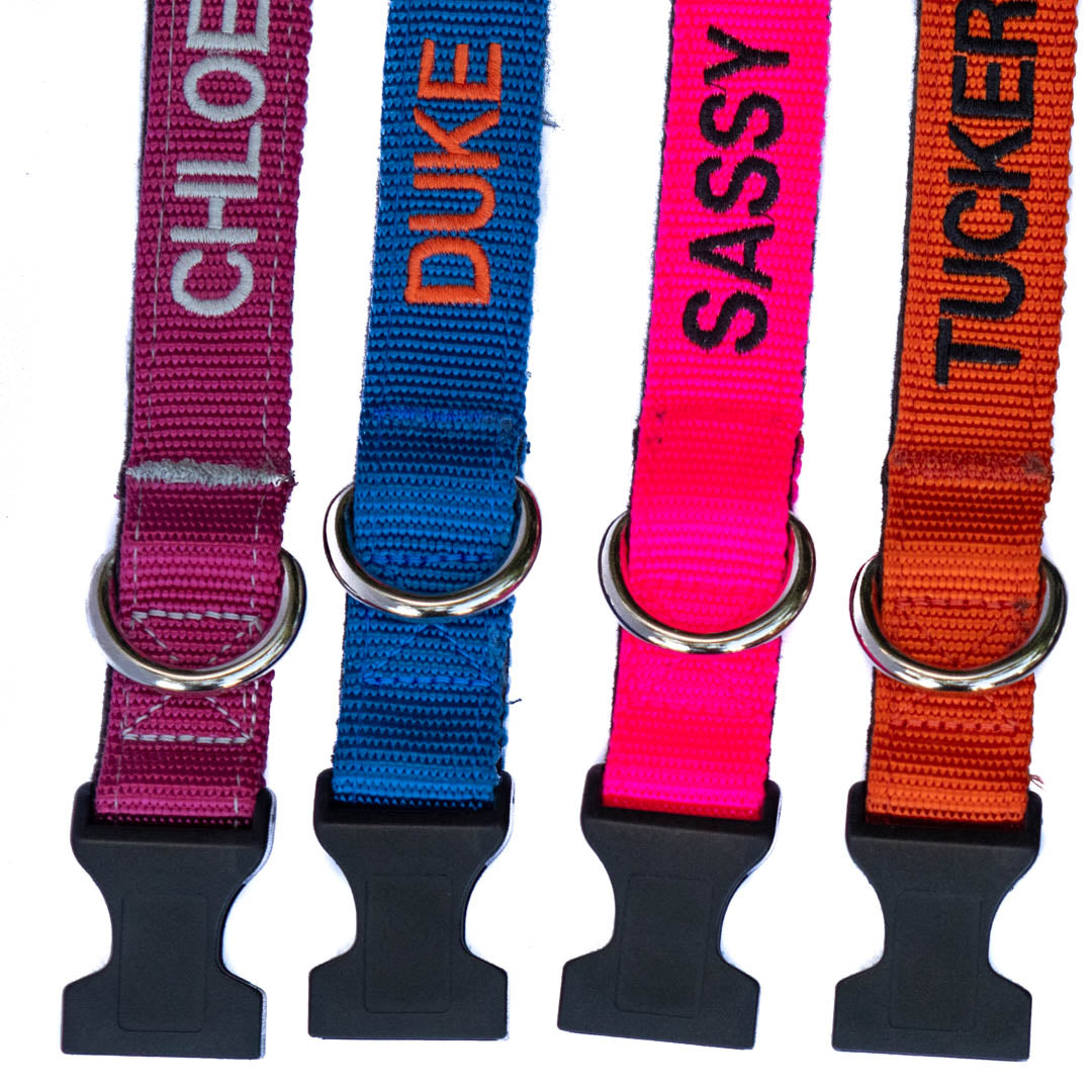 Kanine Chic Dog Collars